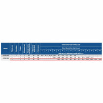 Bomba Submersível Esgoto Schneider BCS-355 3,0CV 440V Tri