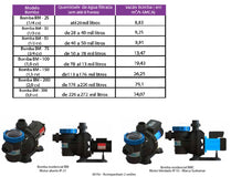 Bomba Piscina Sodramar BM-33 0,33CV 110/220V Monofásica