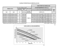 Bomba Syllent Impulse RE42M075 0,75CV 220V Monofásica