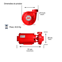 Bomba Incêndio R141mm Thebe THSI-18 5,0CV 4V Tri