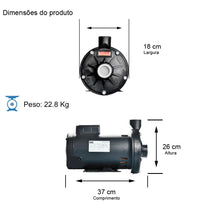 Bomba Thebe TH-16 P 3,0CV 110/220V Monofásica