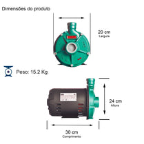 Bomba Thebe TH-16 0,75CV 220/380V Trifásica