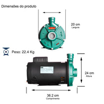 Bomba Thebe TH-16 2,0CV 127/220V Monofásica