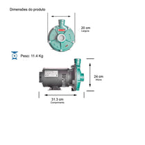 Bomba Thebe TH-16 0,50CV 220/380V Trifásica