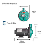 Bomba Thebe TH-16 0,75CV 220/380V Trifásica