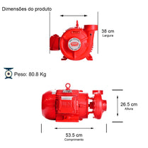 Bomba Incêndio Thebe THSI-18 10,0CV 4V Trifásica