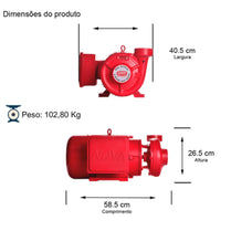 Bomba Incêndio Thebe THSI-18 10,0CV 220/440V Monofásica