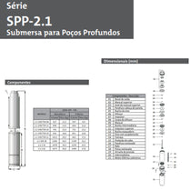 Bomba Caneta Dancor 2.1-SSR-28 3,0CV 220V Trifásica