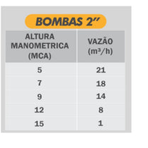 Bomba Submersível Drenagem Buffalo BFBB 2" 1,5CV 220V Mono