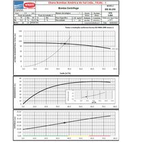 Bomba Thebe GSD-40/250 20,0CV 220/440V Trifásica